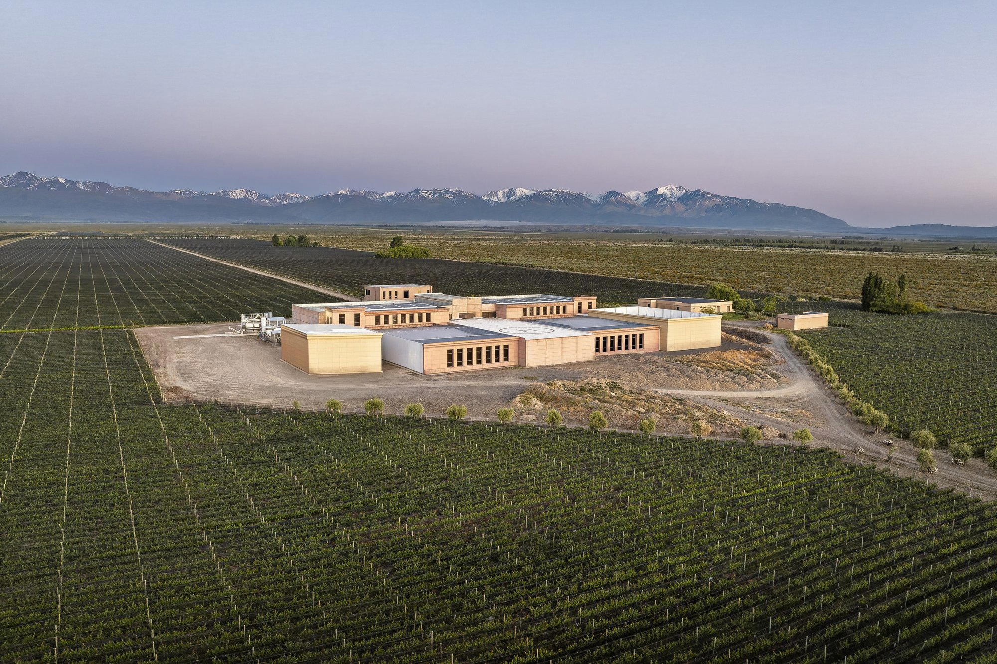 Cape Wine Makers Guild winery in Olive Grove, South Africa