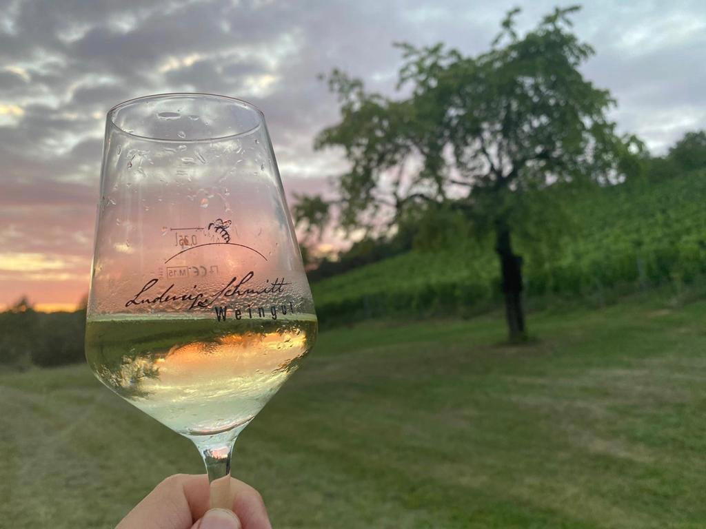 Weingut Ludwig Schmitt winery in Gerbrunn, Germany