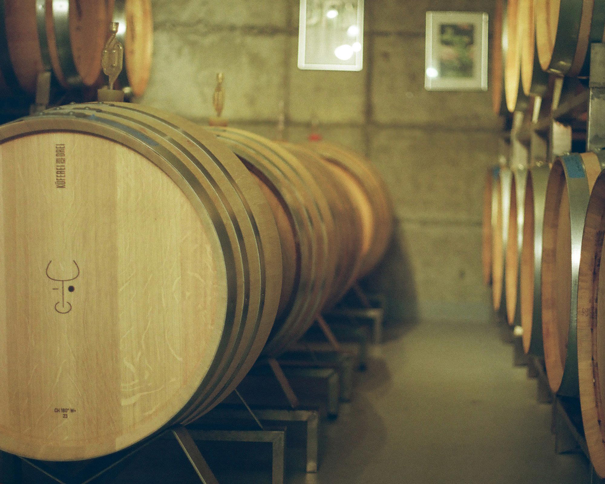 Weingut zum Rosenberg winery in Altdorf