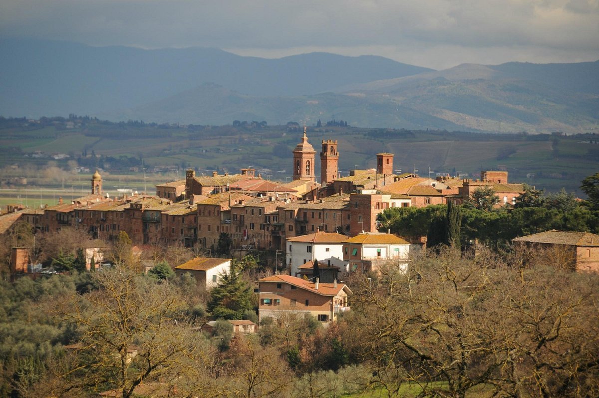 Azienda Agricola Podere Abbadia, Torrita di Siena, Italy