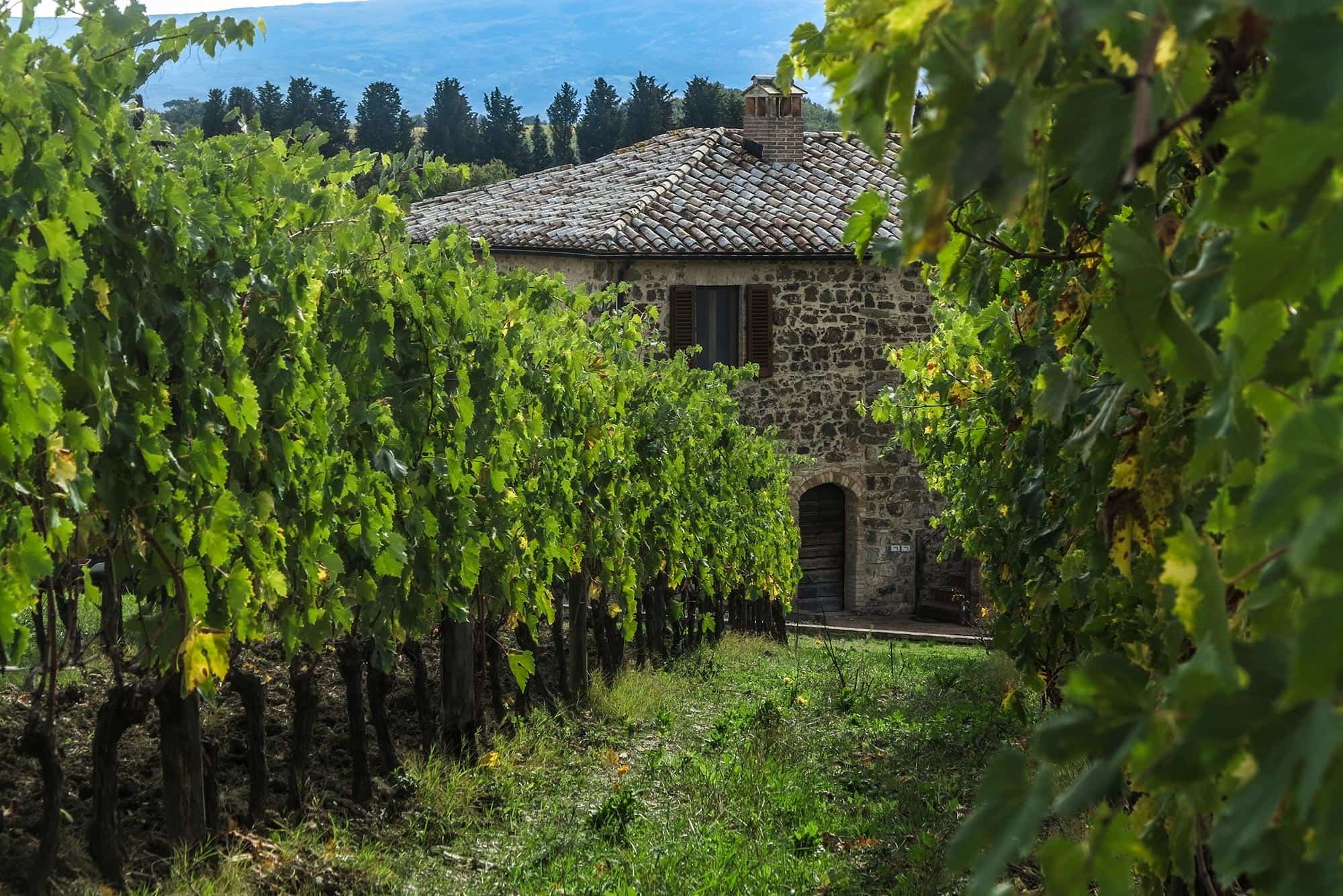 Pian dell’Orino winery in Montalcino, Italy