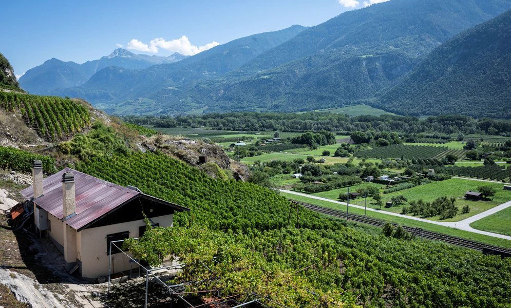 Cave de la Brunière, Winery in St Leonard