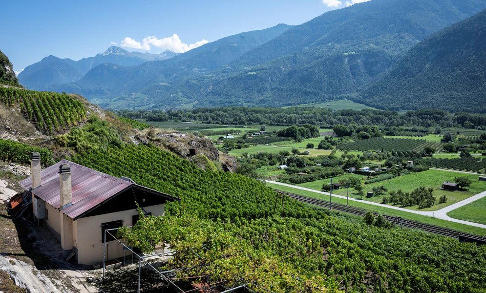 Cave de la Brunière winery in St Leonard