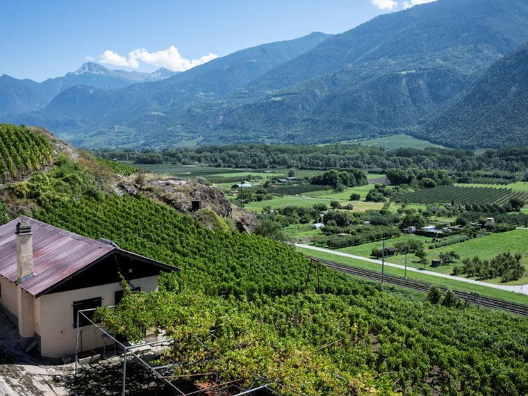 Cave de la Brunière, St Leonard, Switzerland