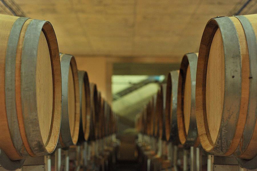 Tenuta Monteti winery in Capalbio