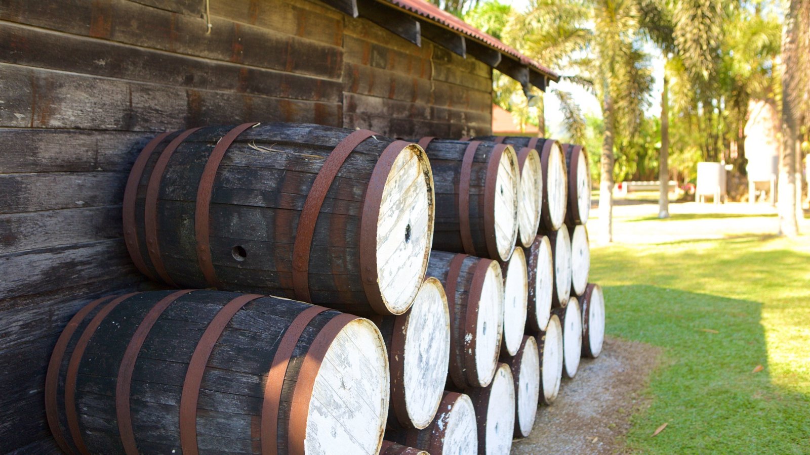 Appleton Estate