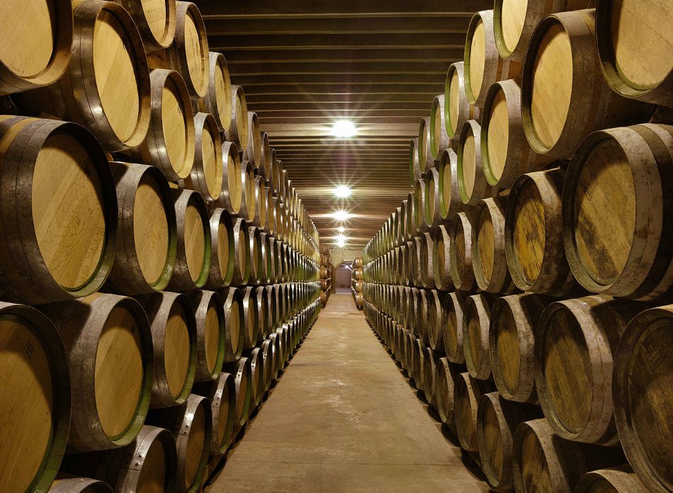 Bodegas Muriel