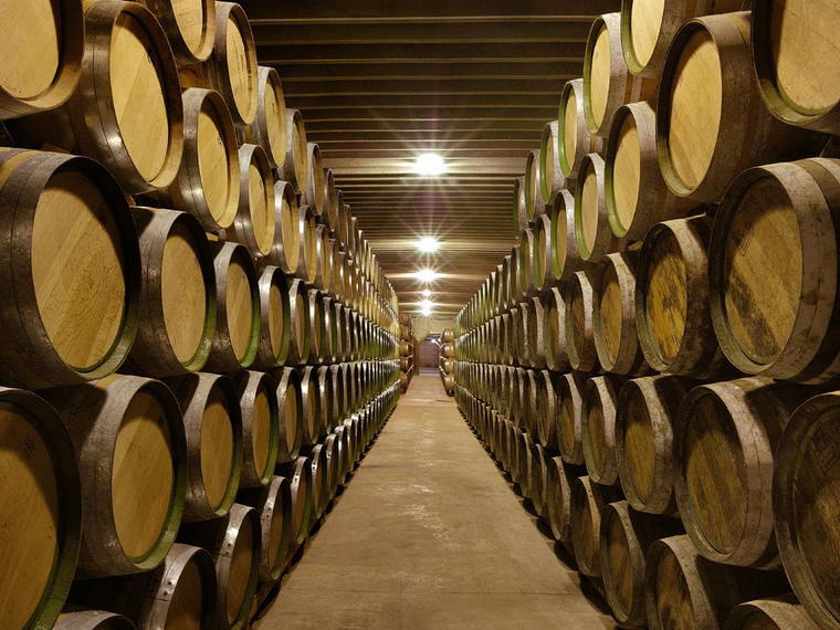 Bodegas Muriel, Elciego, Spain