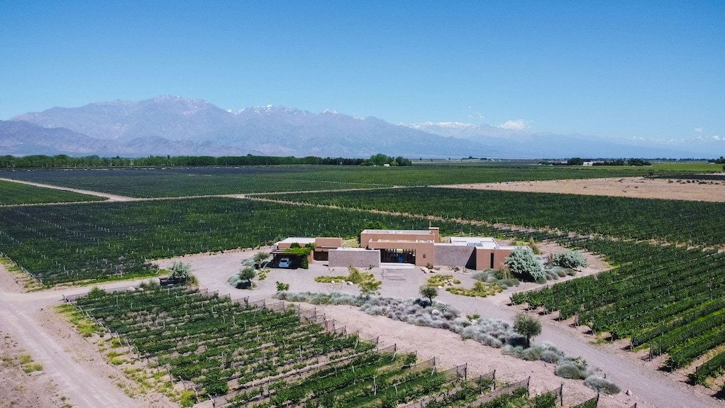 Alfa Crux, Winery in Mendoza