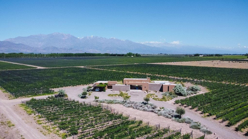 Alfa Crux winery in Mendoza, Argentina