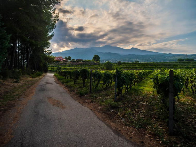 Cantine Murgo, Santa Venerina, Italy