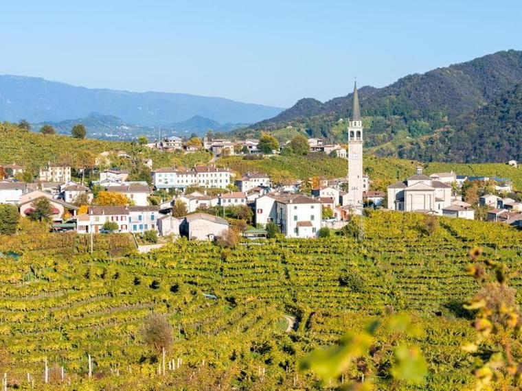 Bellenda, Vittorio Veneto, Italy