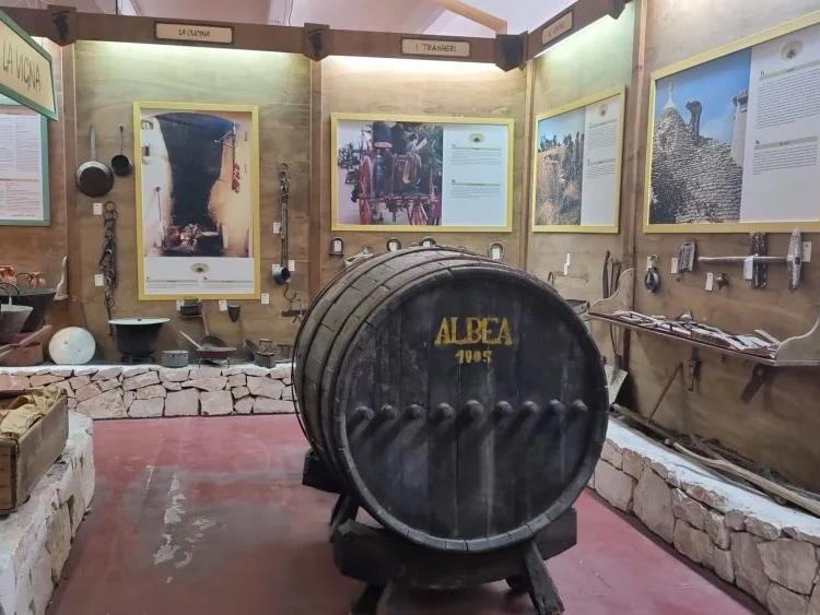 Cantina Museo Albea, Alberobello, Italy