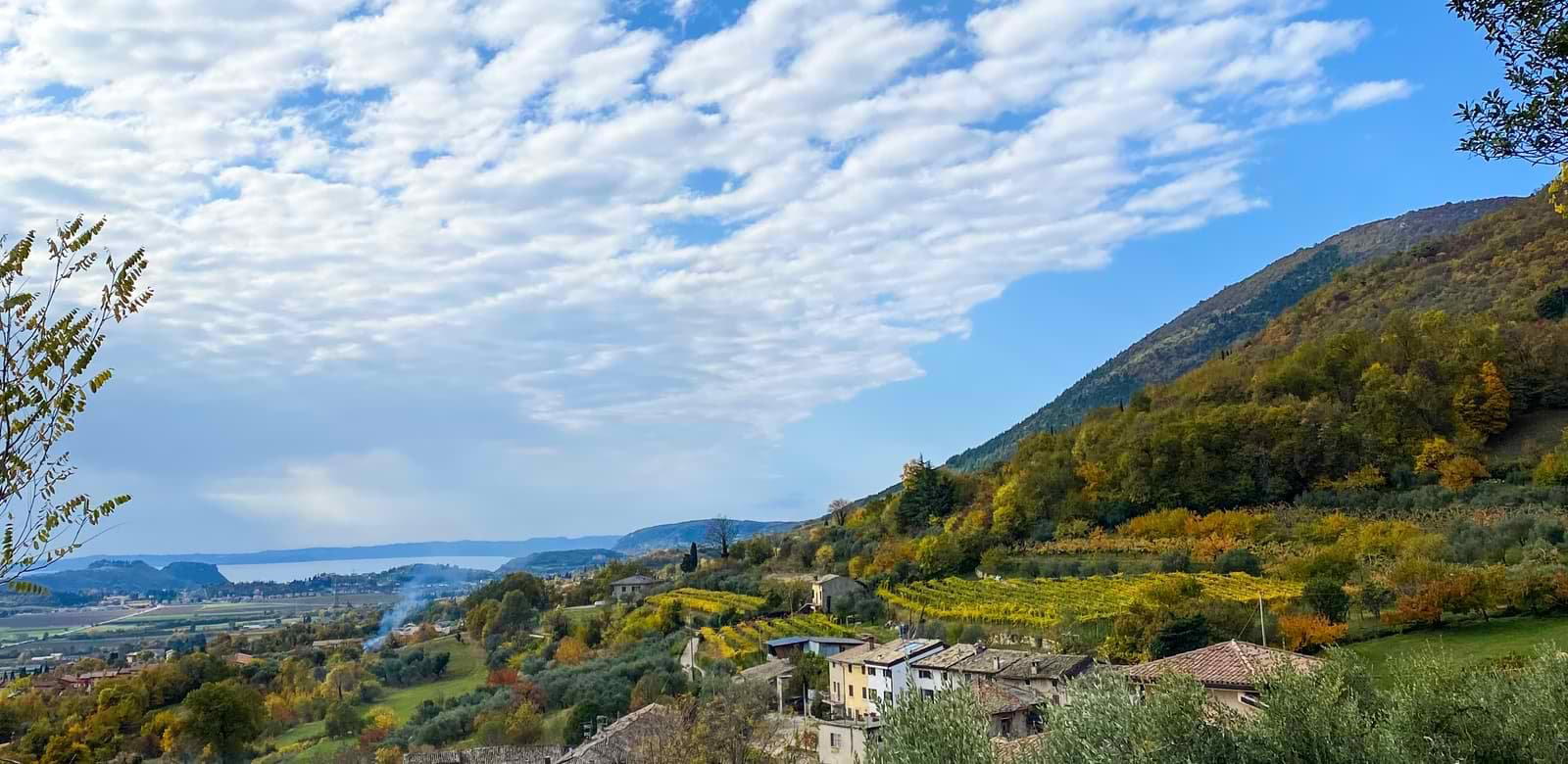 Vinicio Bronzo winery in Caprino Veronese