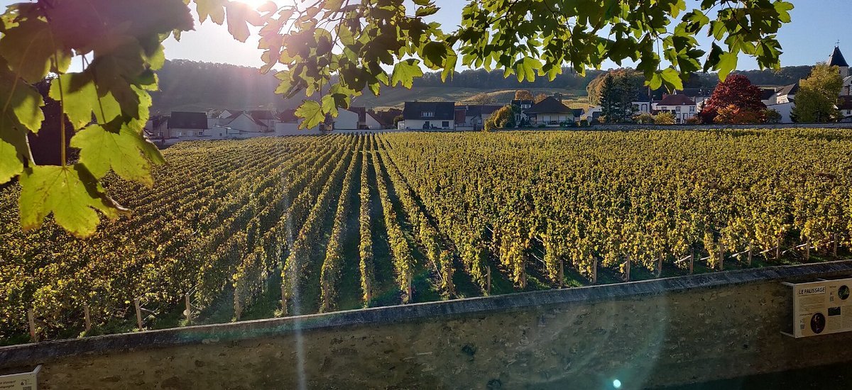 Champagne Philippe Gonet, Le Mesnil-sur-Oger, France