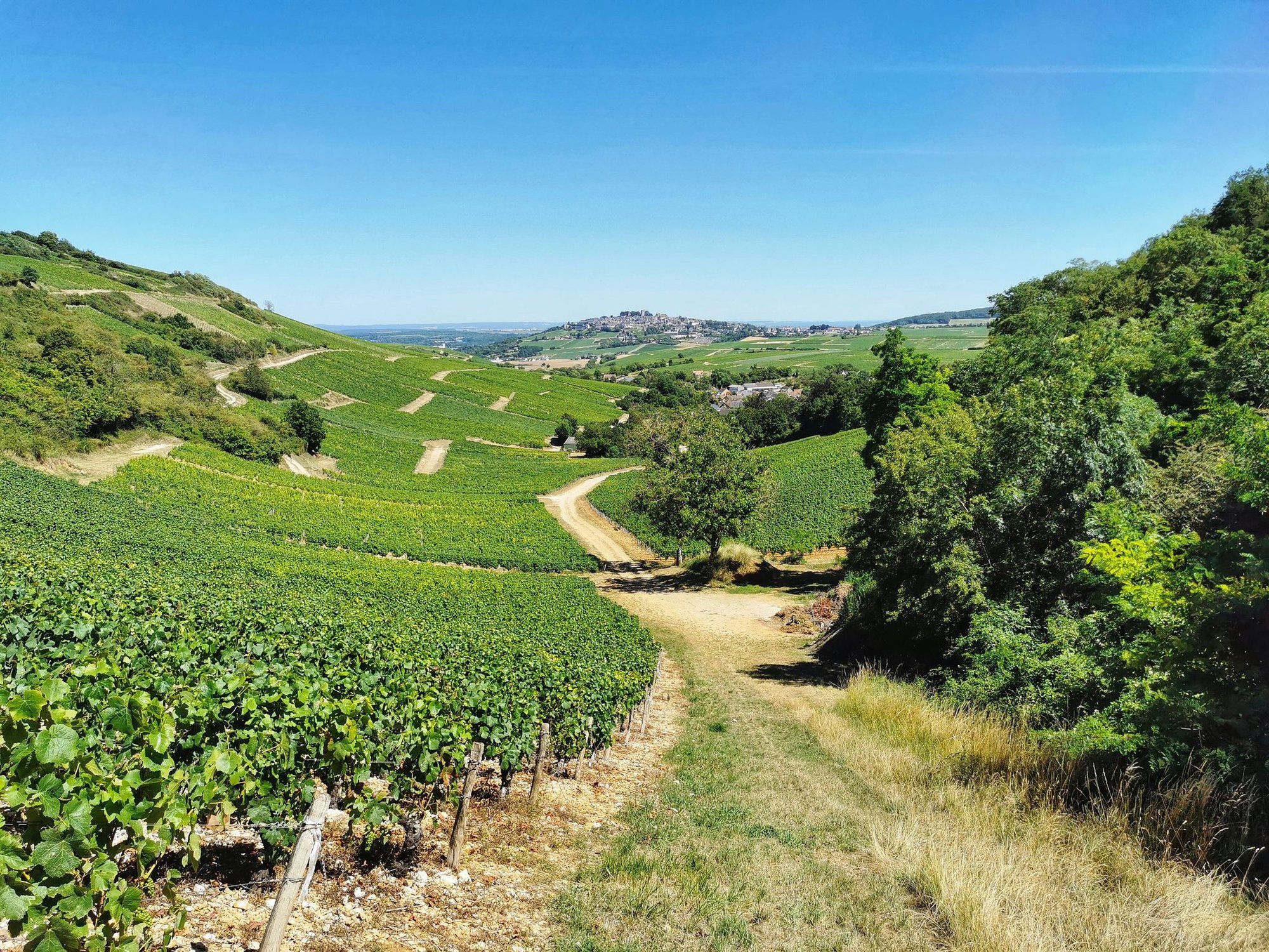 Château de Crézancy, Winery in Crezancy En Sancerre