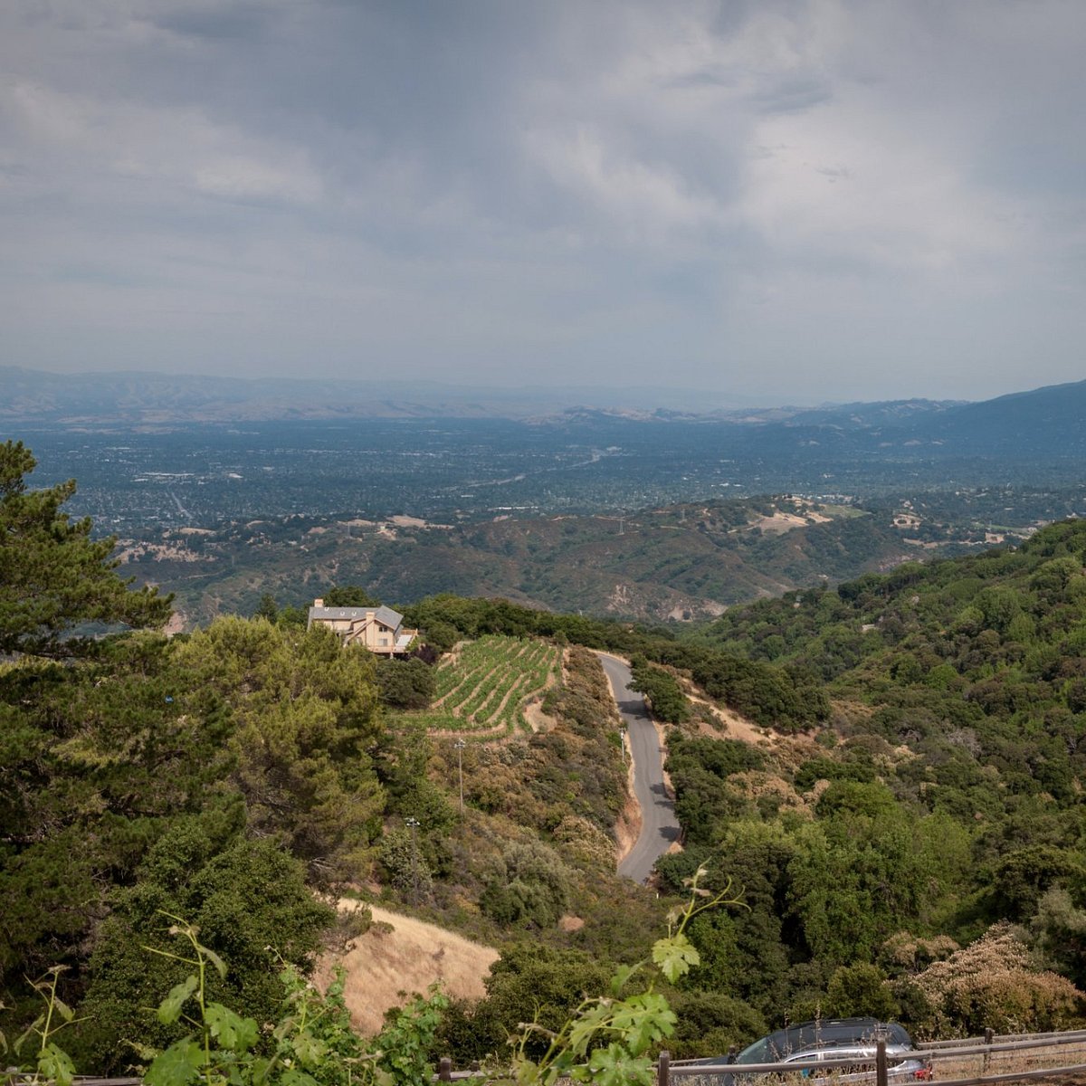 Vidovich Vineyards, Cupertino, United States