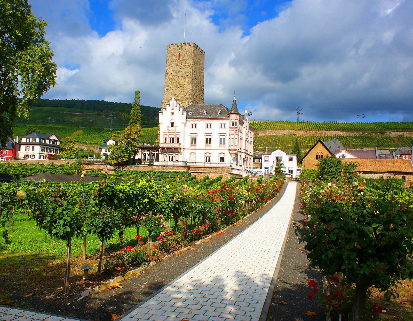 532 Riesling, Winery in Rüdesheim am Rhein