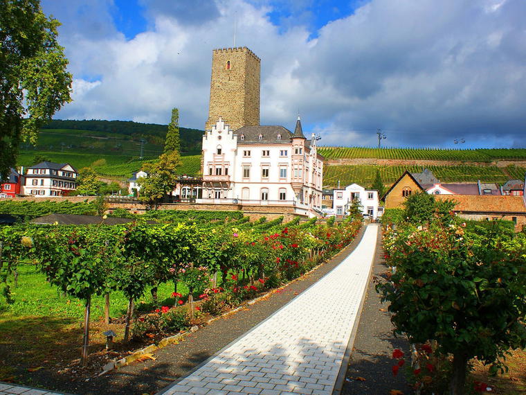 532 Riesling, Rüdesheim am Rhein, Germany