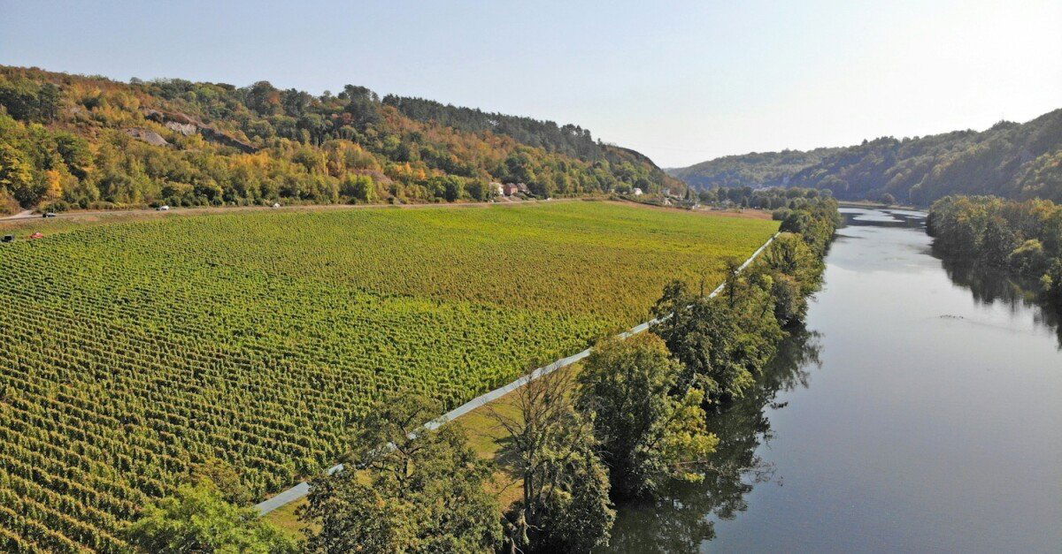 Chateau Bon Baron, Winery in Dinant