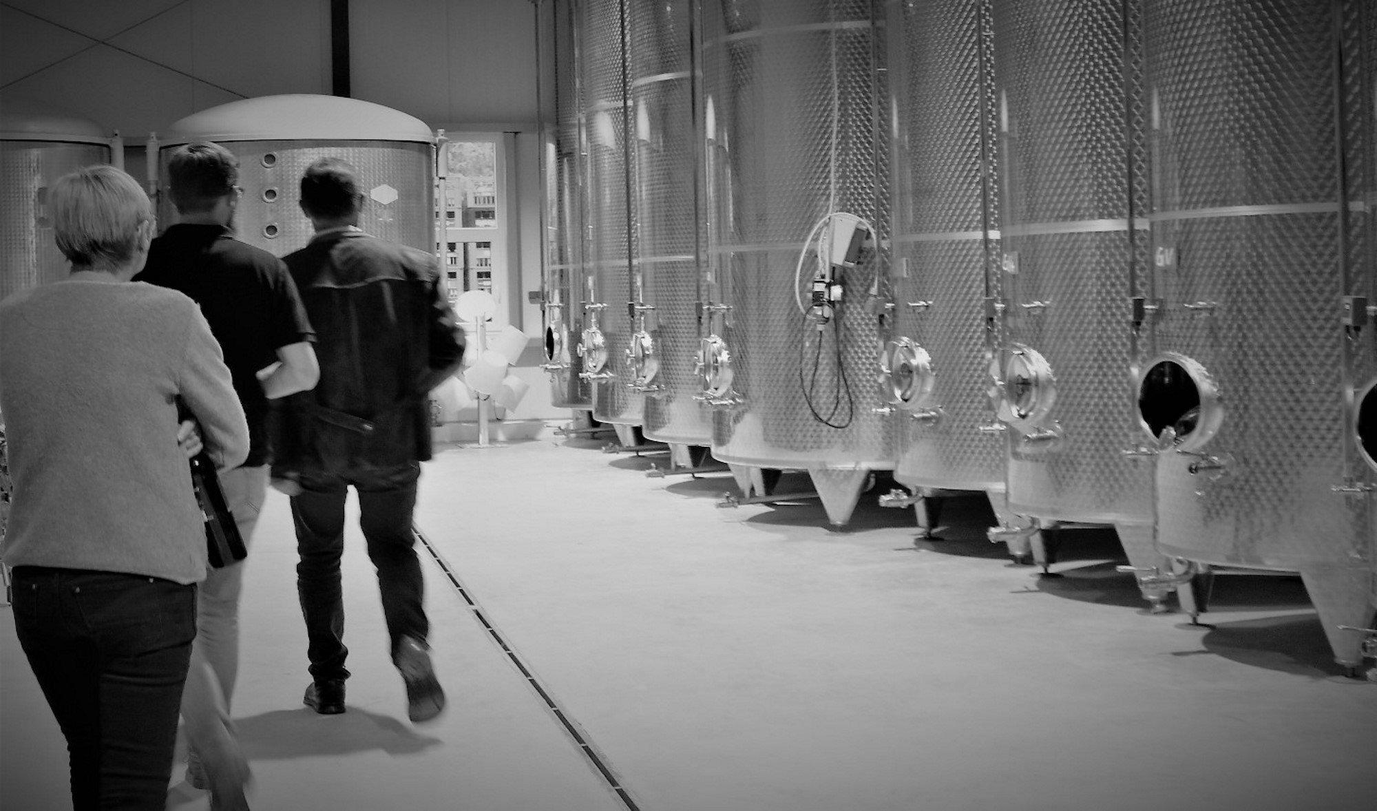 Weingut Kurz winery in Paasdorf