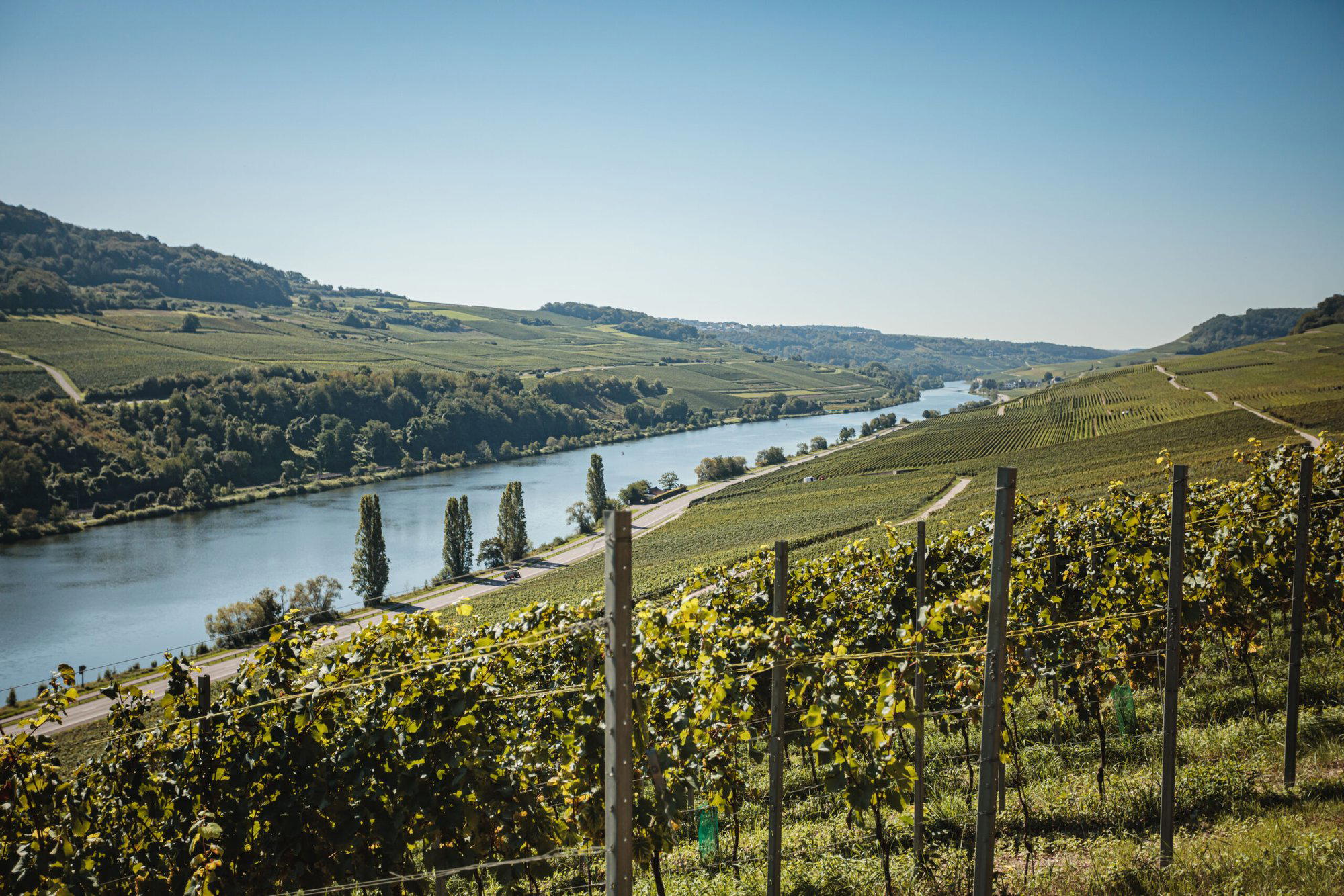 Maison Viticole Schmit-Fohl winery in Ahn