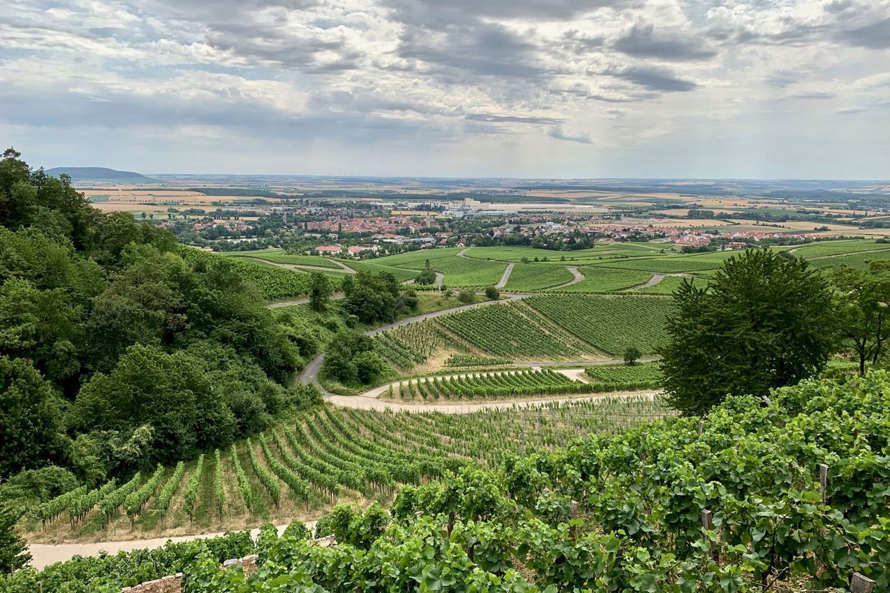 Boessneck Wein, Winery in Iphofen