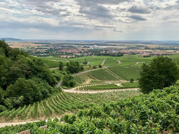 Boessneck Wein, Iphofen, Germany