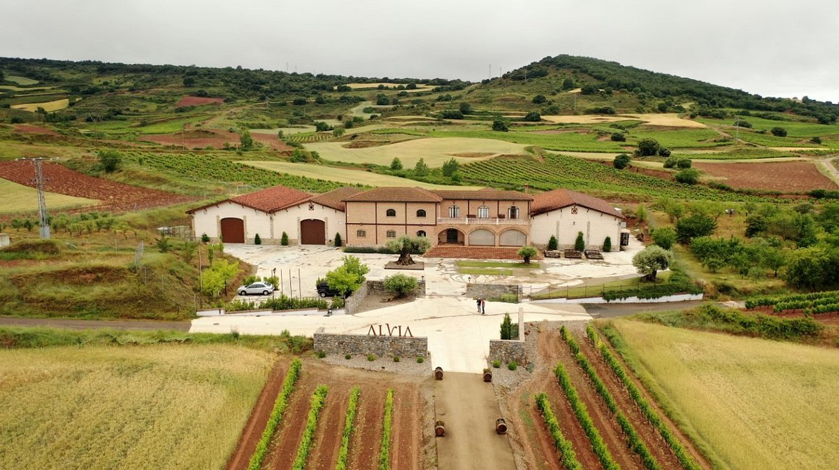 Bodegas Alvia, Ventosa, Spain