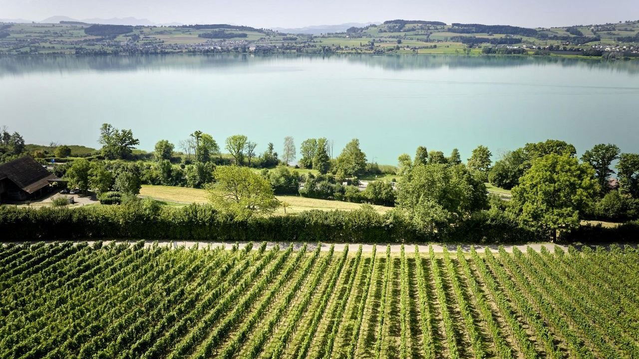 Brunner Weinmanufaktur, Winery in Eich