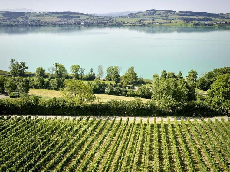 Brunner Weinmanufaktur, Eich, Switzerland