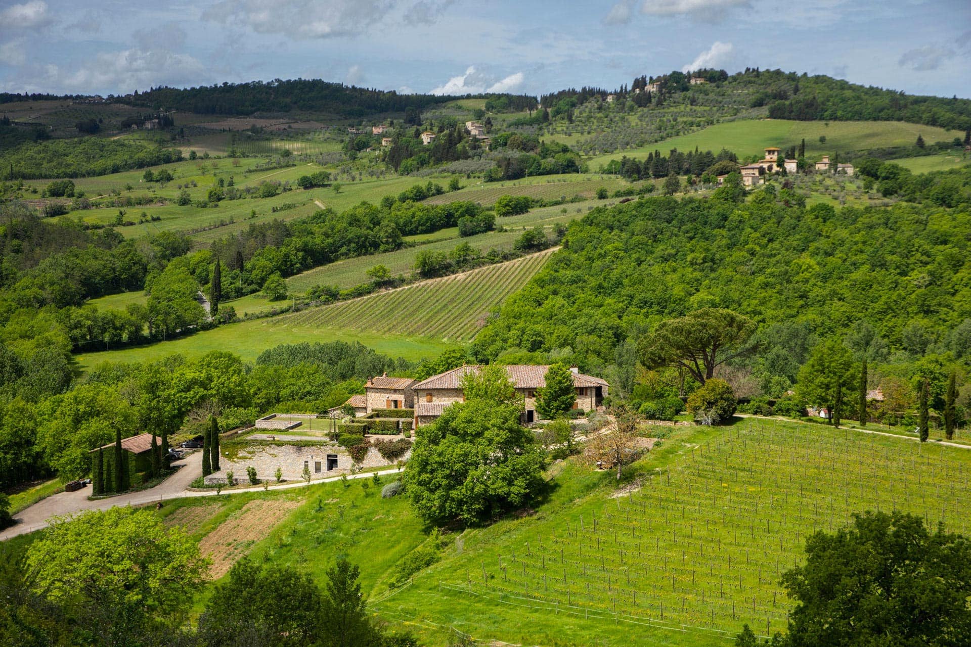 Candialle, Winery in Greve in Chianti