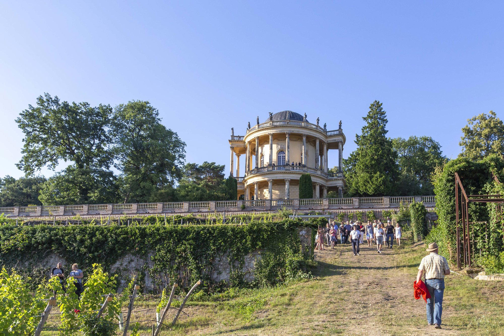 Königlicher Weinberg winery in Potsdam