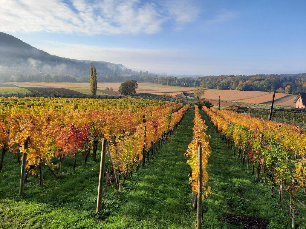 Weinhof Thurner-Seebacher winery in Tieschen