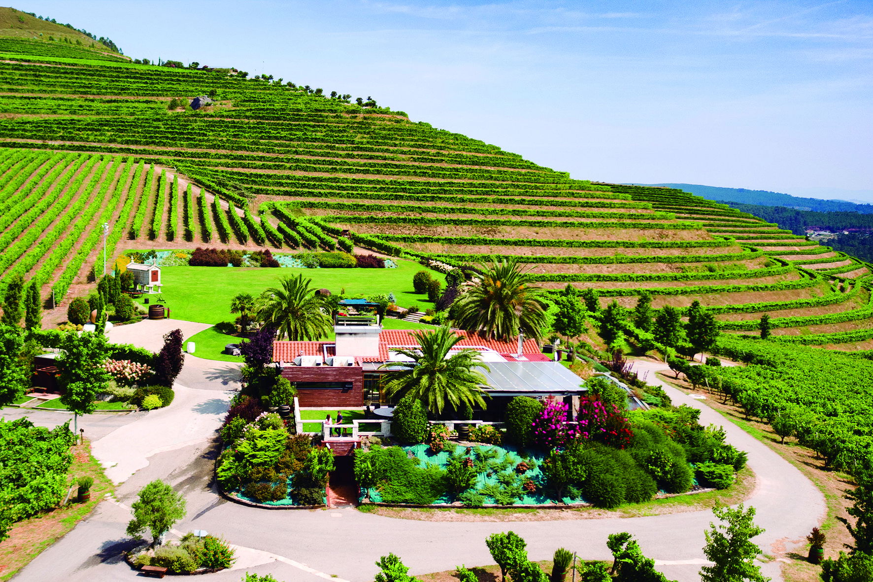 Bodega Altos de Torona, Winery in Eiras