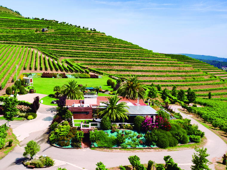 Bodega Altos de Torona, Eiras, Spain