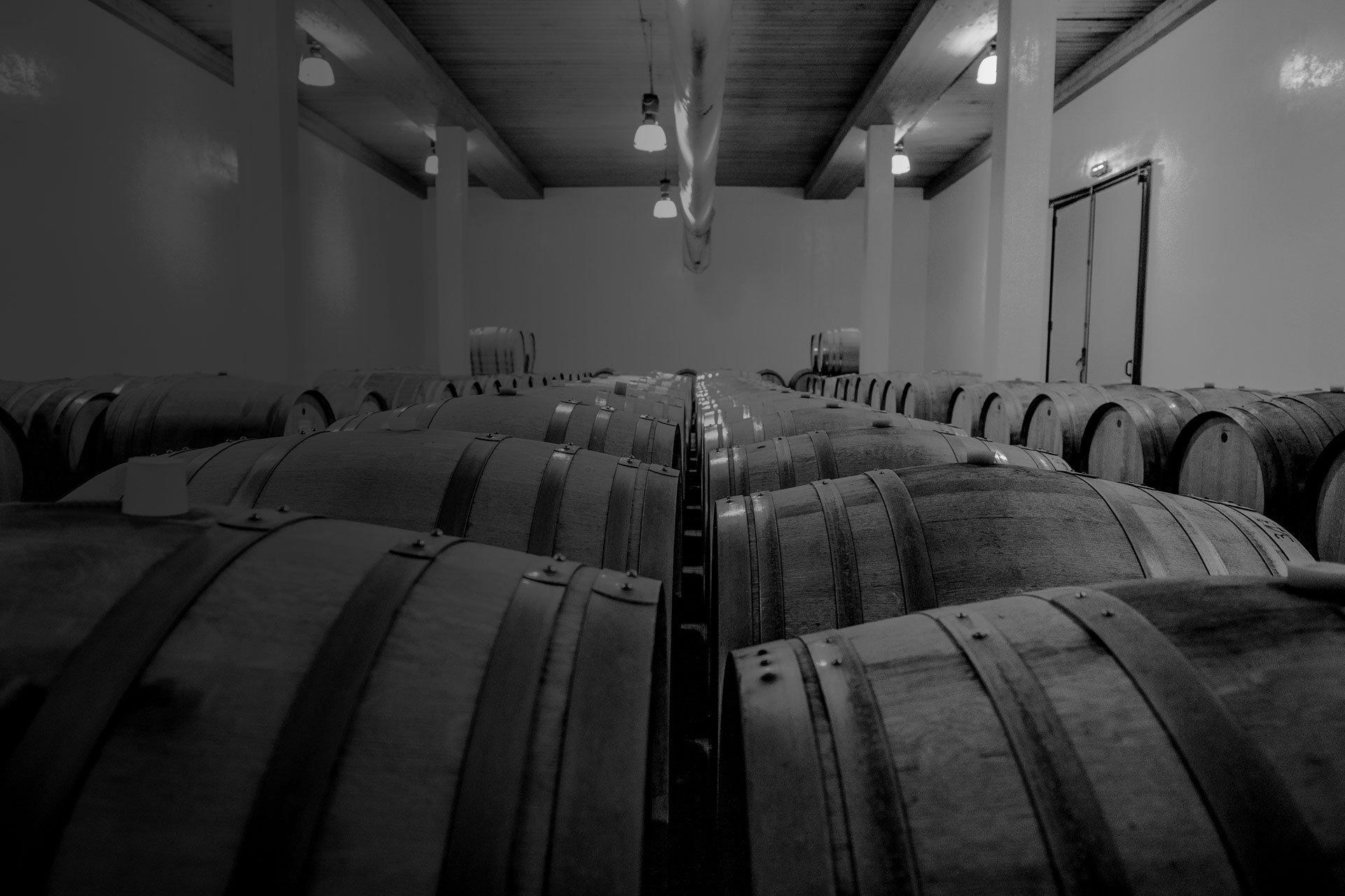 La Canosa winery in Rotella
