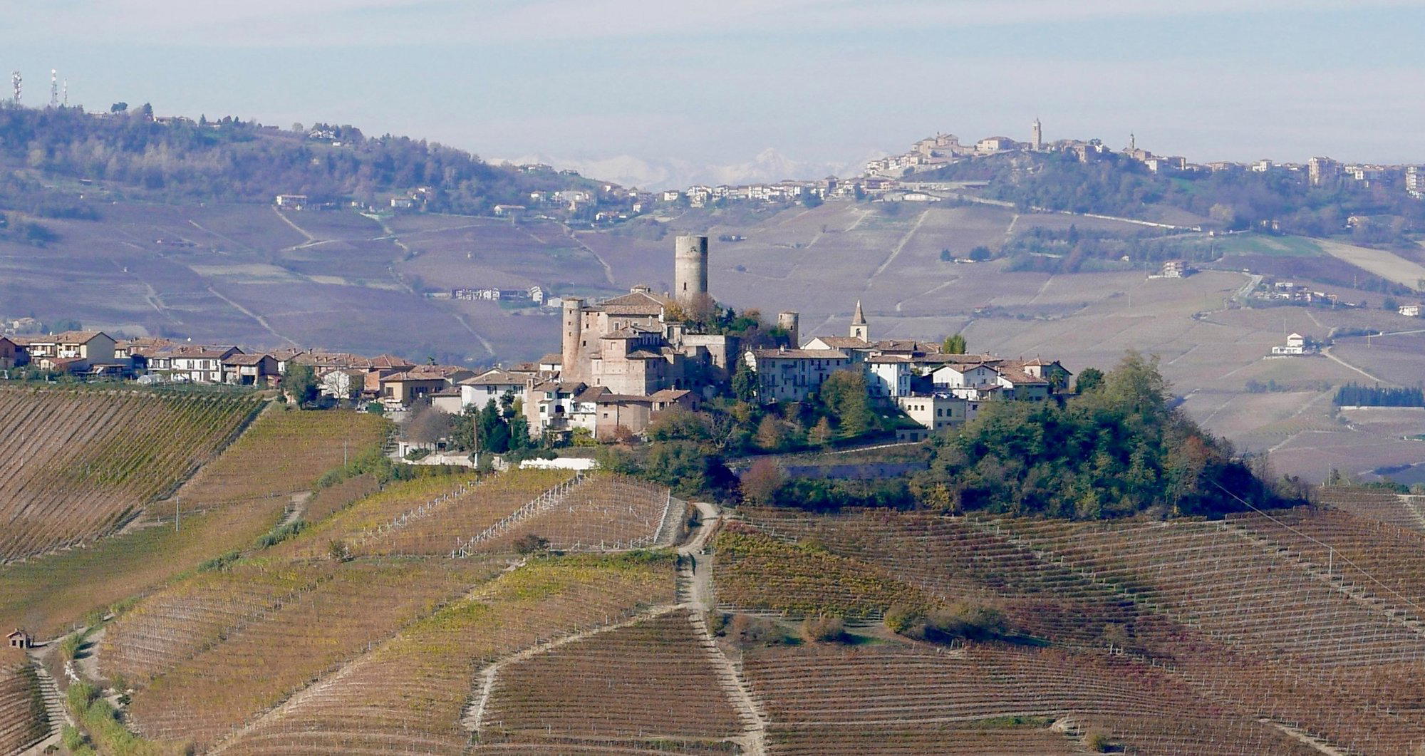 Azelia winery in Castiglione Falletto, Italy