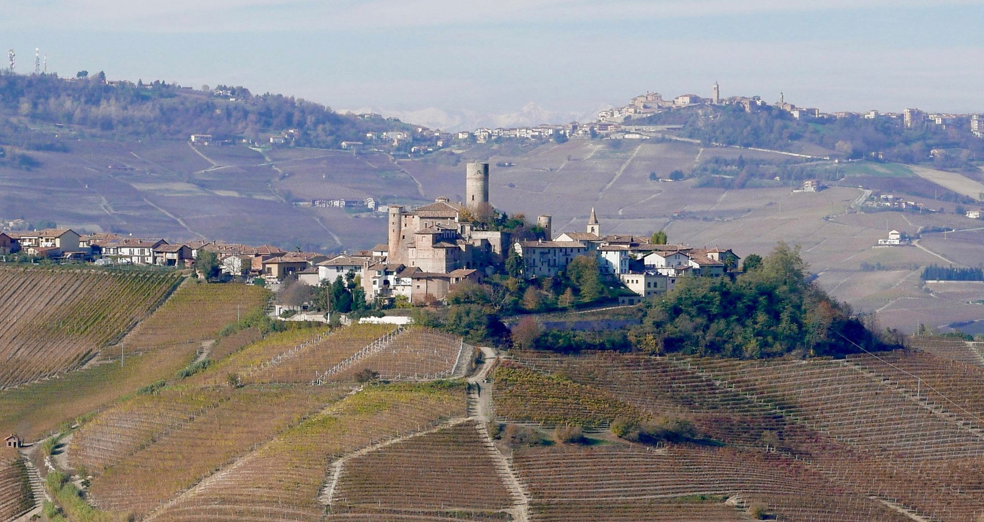 Azelia, Winery in Castiglione Falletto