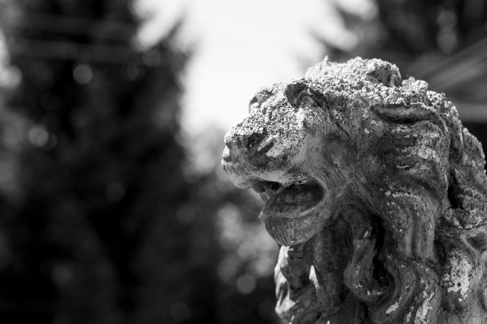 Ca' De Lion Ghione dal 1871