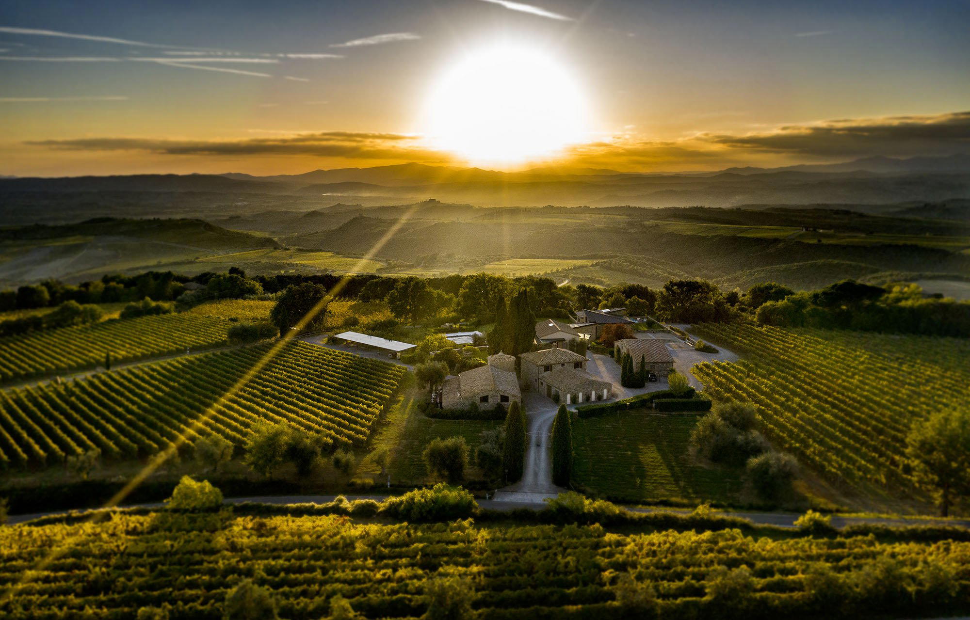 Talenti winery in Montalcino, Italy