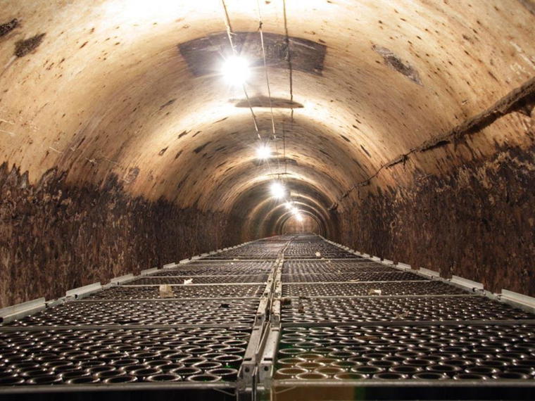 Champagne Bouché Père et fils, Pierry, France