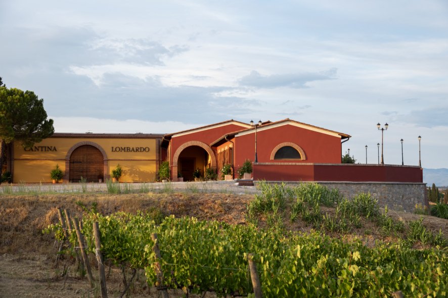 Azienda Agricola Lombardo, Gracciano Di Montepulciano, Italy