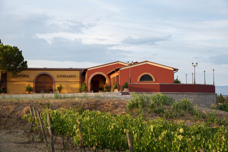 Azienda Agricola Lombardo, Winery in Gracciano Di Montepulciano