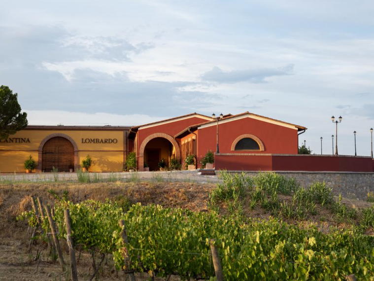 Azienda Agricola Lombardo, Gracciano Di Montepulciano, Italy