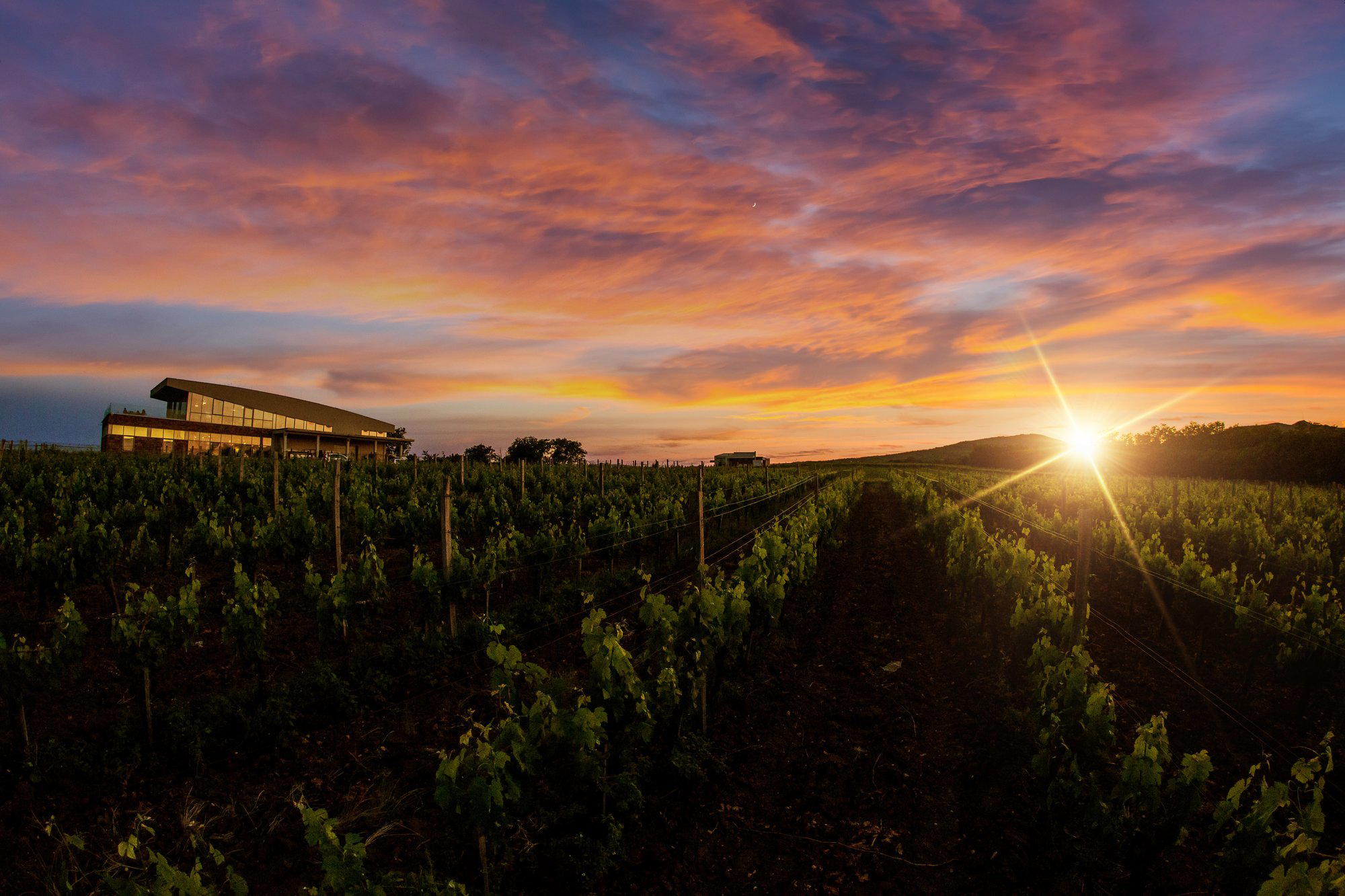 Cilić Vinarija winery in Lozovik