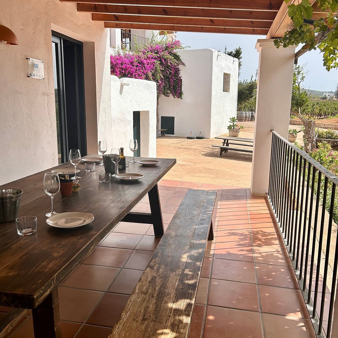 Bodegas y Viñedos Can Rich de Buscastell, San Antonio De Portmany, Spain