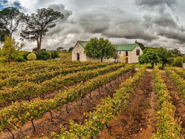 Le Riche Wines, Stellenbosch, South Africa