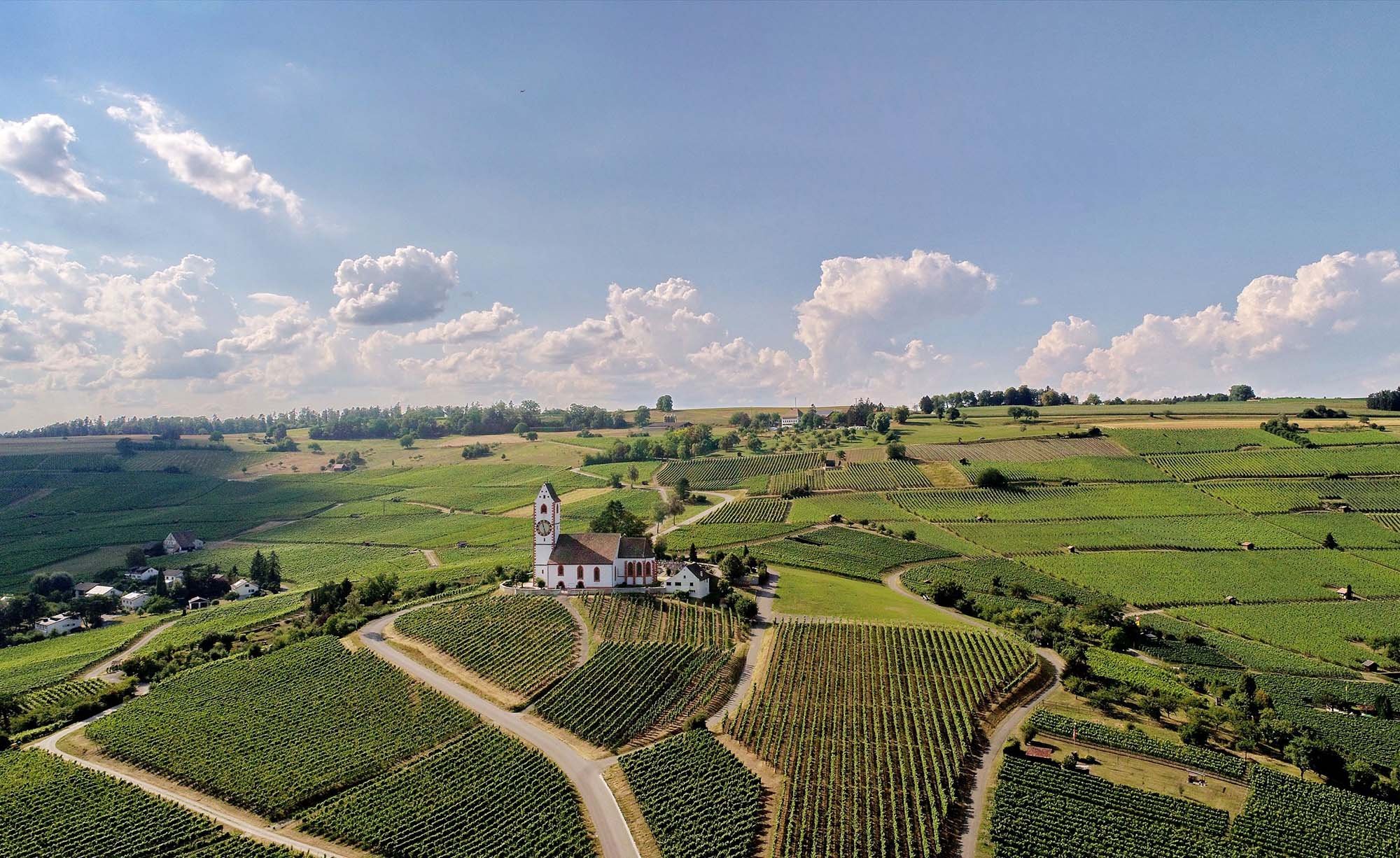 aagne weingut, Winery in Hallau