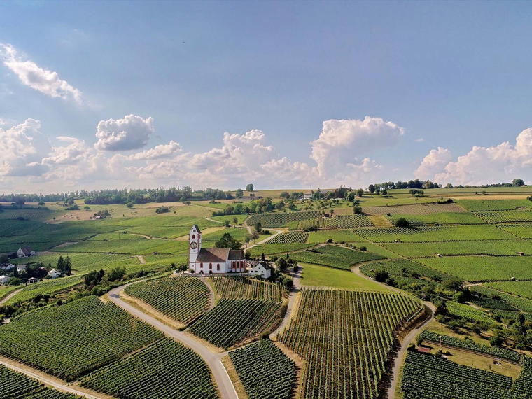 aagne weingut, Hallau, Switzerland